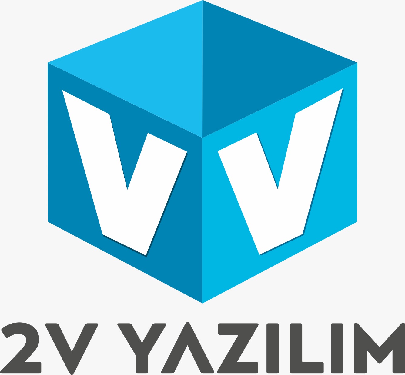 2V Yazılım